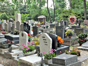 Собачье кладбище в Париже