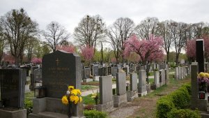 Центральное кладбище Вены (Zentralfriedhof)